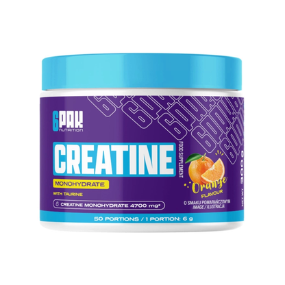 6PAK Nutrition Creatine Monohydrate - 300 g